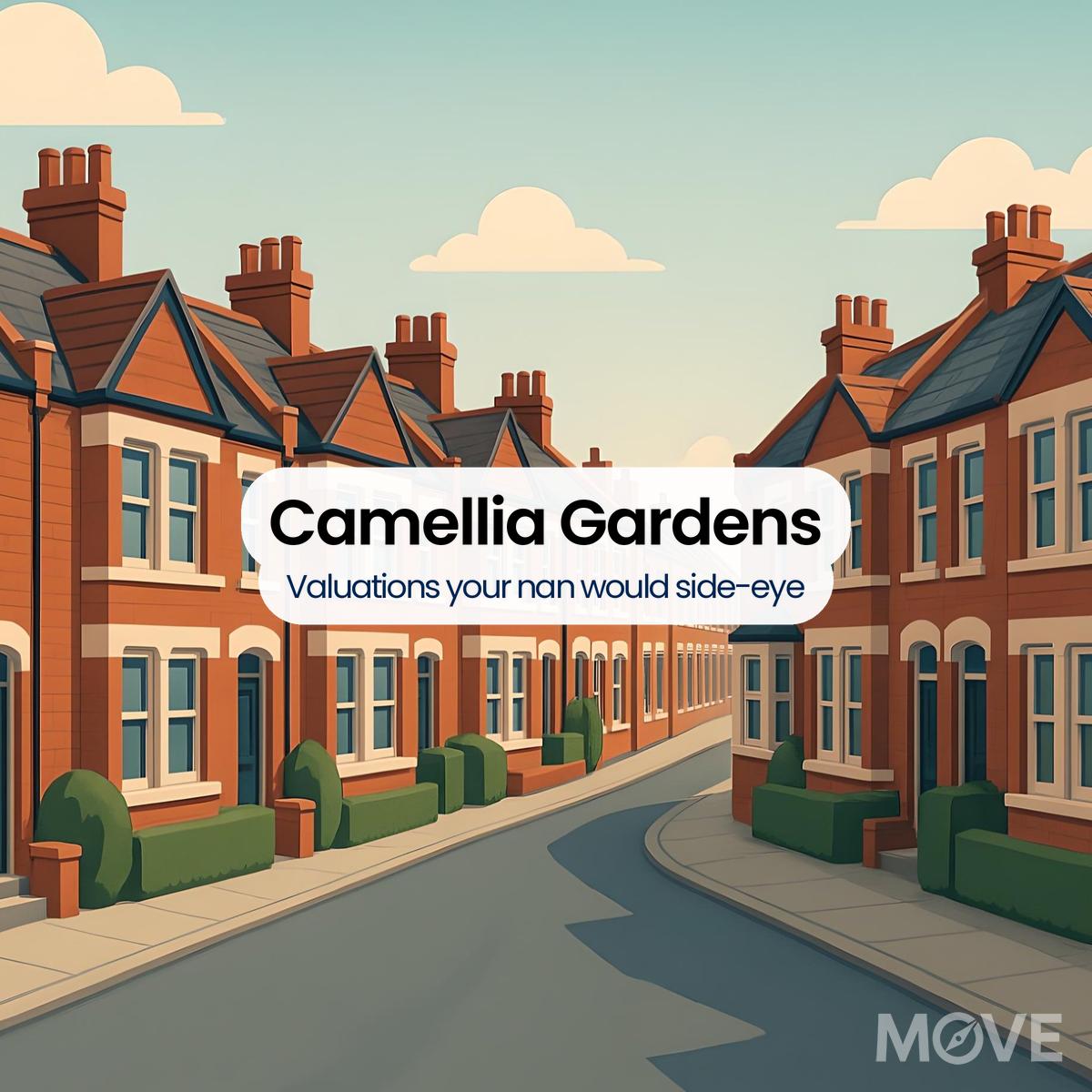 Camellia Gardens, DY8, Stourbridge