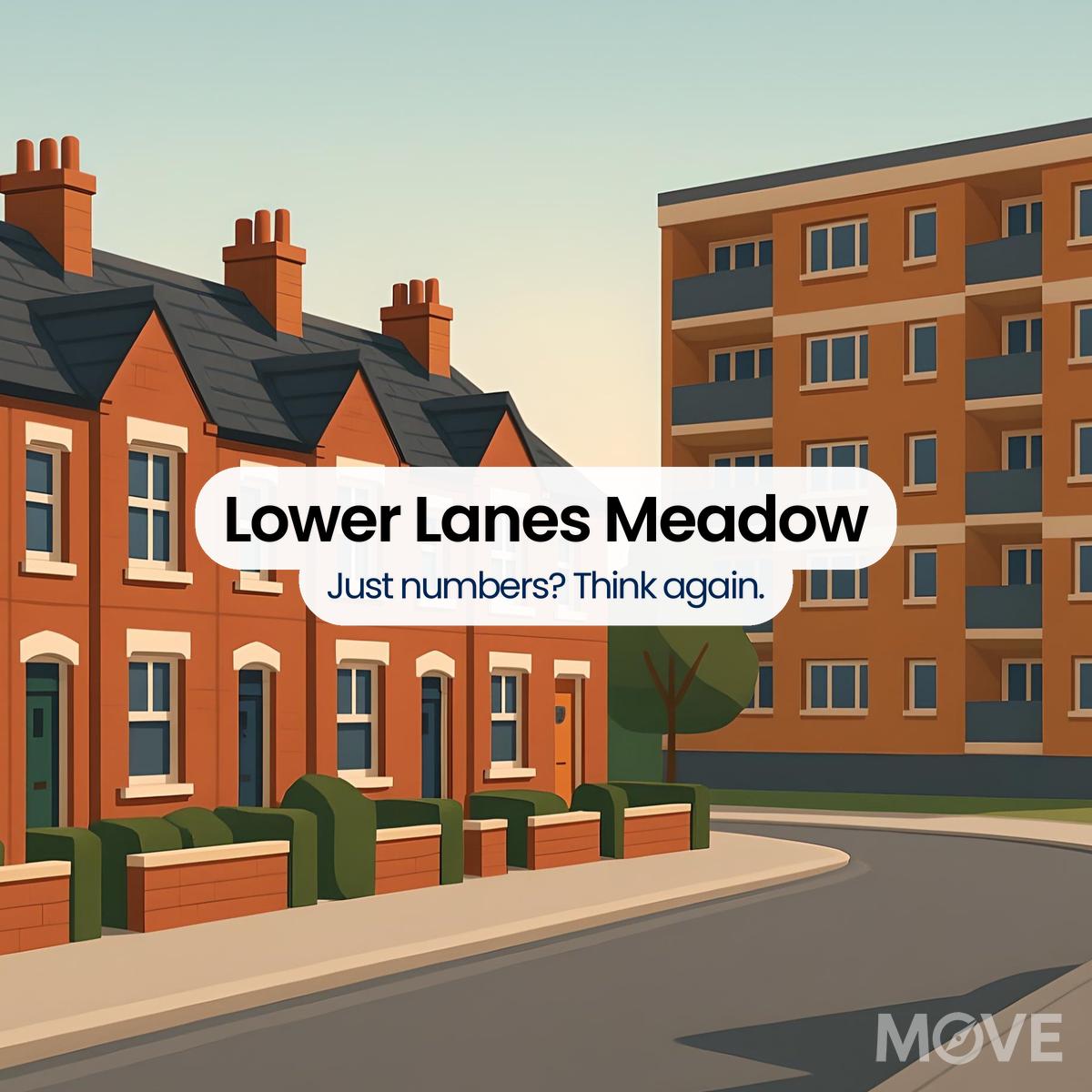 Lower Lanes Meadow, WV5, Wolverhampton