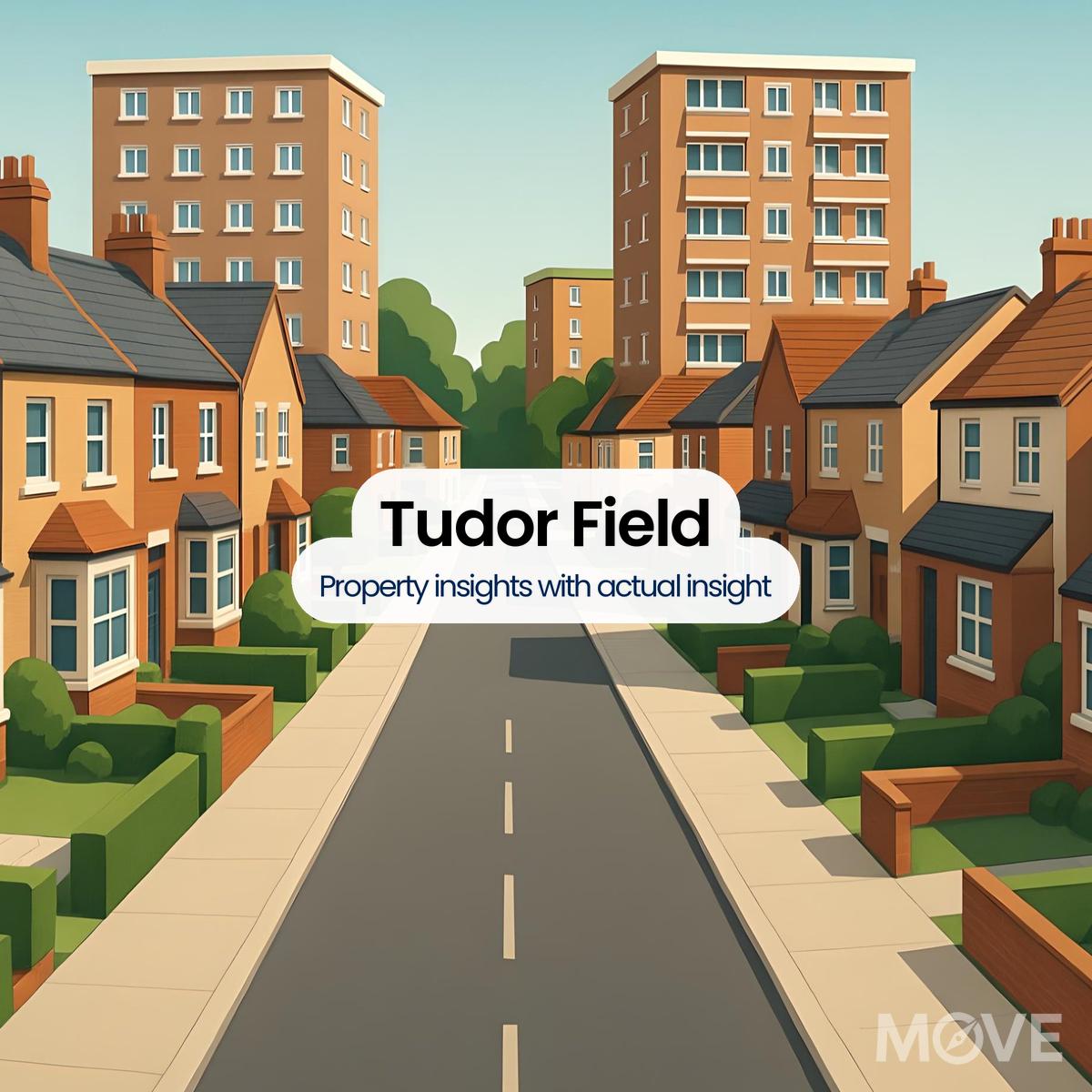 Tudor Field, SY5, Shrewsbury