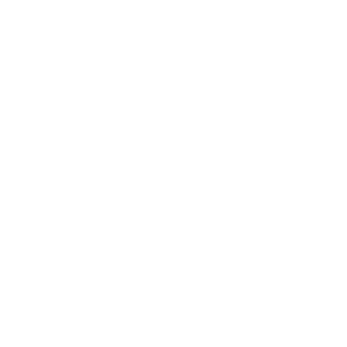 Real Flow Icon